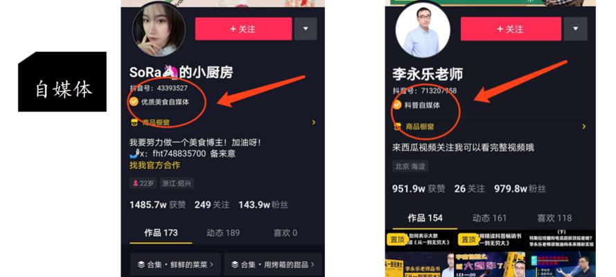 抖音一百万点赞收益揭秘（拍视频也能赚钱）
